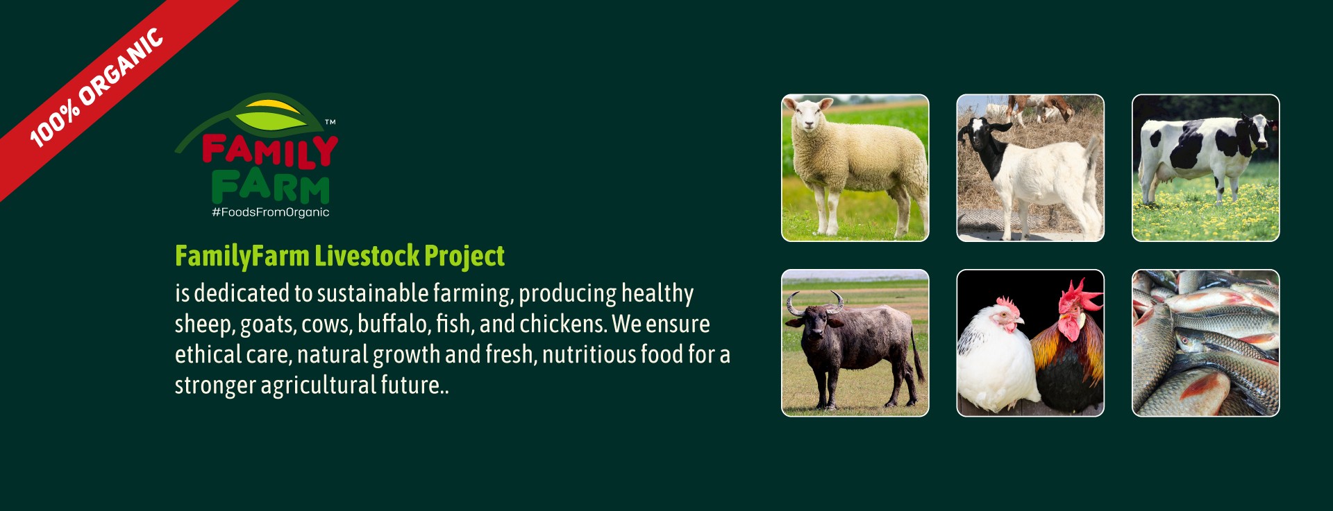 FamilyFarm Livestock Farm