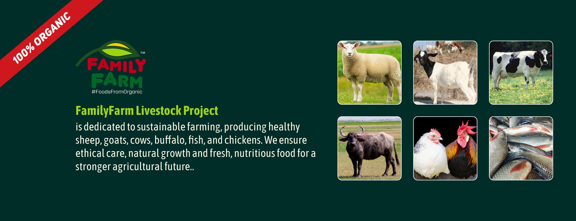 https://familyfarmbd.com/
